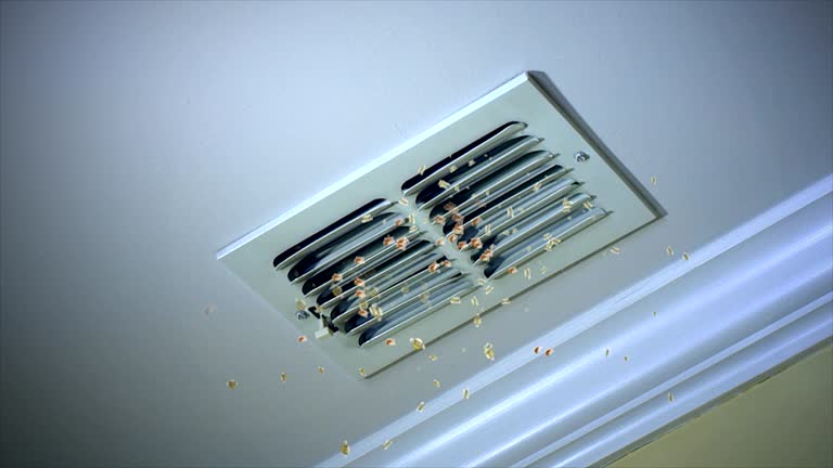 Best Home Air Vent Cleaning  in Fife Heights, WA