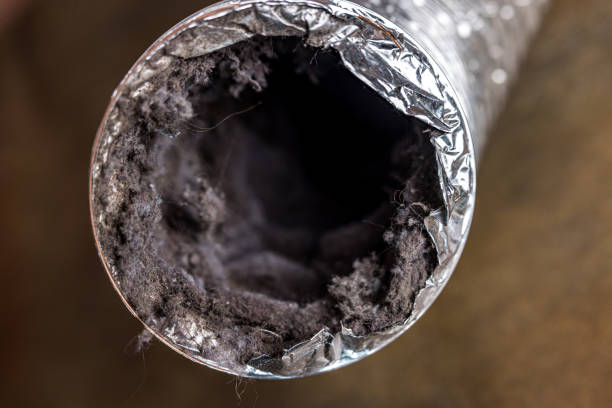 Best Air Duct Cleaning Company Near Me  in Fife Heights, WA