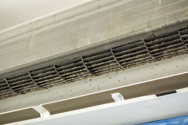 Best Air Duct Cleaning Near Me  in Fife Heights, WA